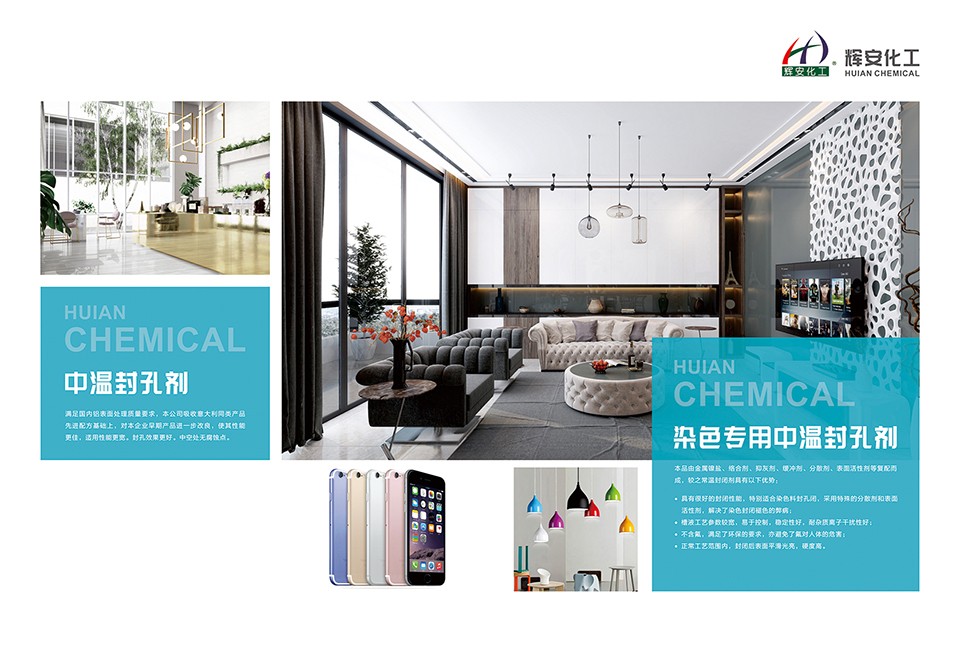 輝安化工丨李淑蘭:思想的深度 決定人生的高度.jpg 輝安畫冊-12.jpg